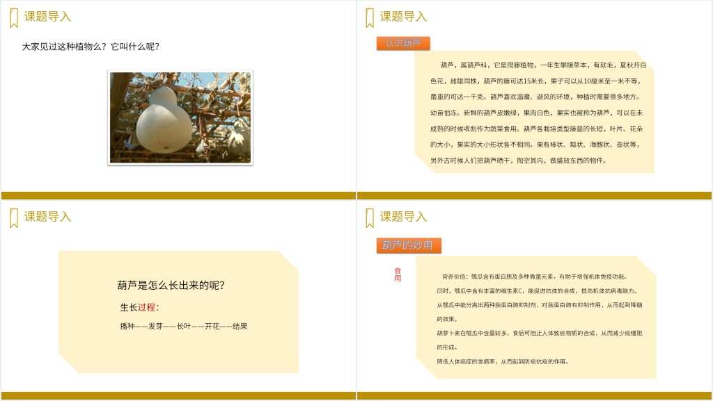 人教版二年级语文上册《我要的是葫芦》PPT课件 人教版二年级语文上册《我要的是葫芦》PPT课件