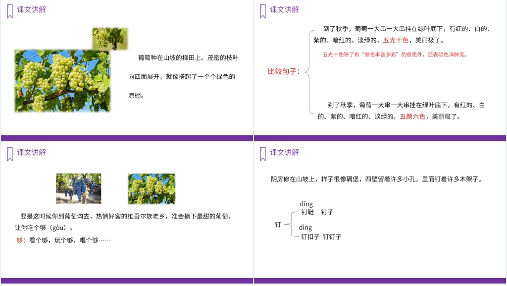 人教版二年级上册语文《葡萄沟》PPT课件 人教版二年级上册语文《葡萄沟》PPT课件