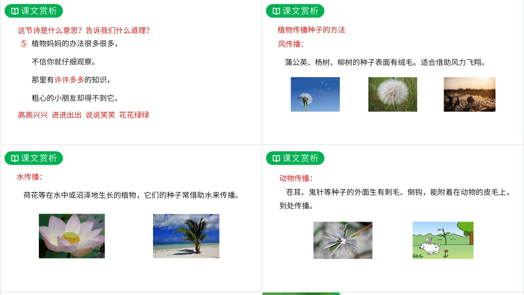 人教版二年级语文上册《植物妈妈有办法》PPT课件 人教版二年级语文上册《植物妈妈有办法》PPT课件