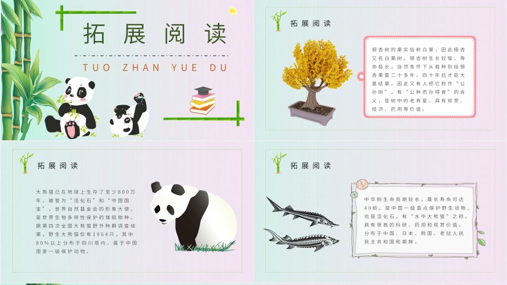 《活化石》精美PPT课件 《活化石》精美PPT课件