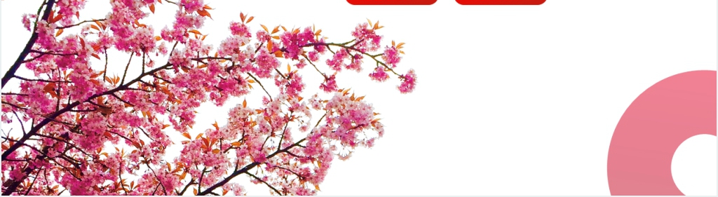 二年级语文《找春天》PPT课件 二年级语文《找春天》PPT课件