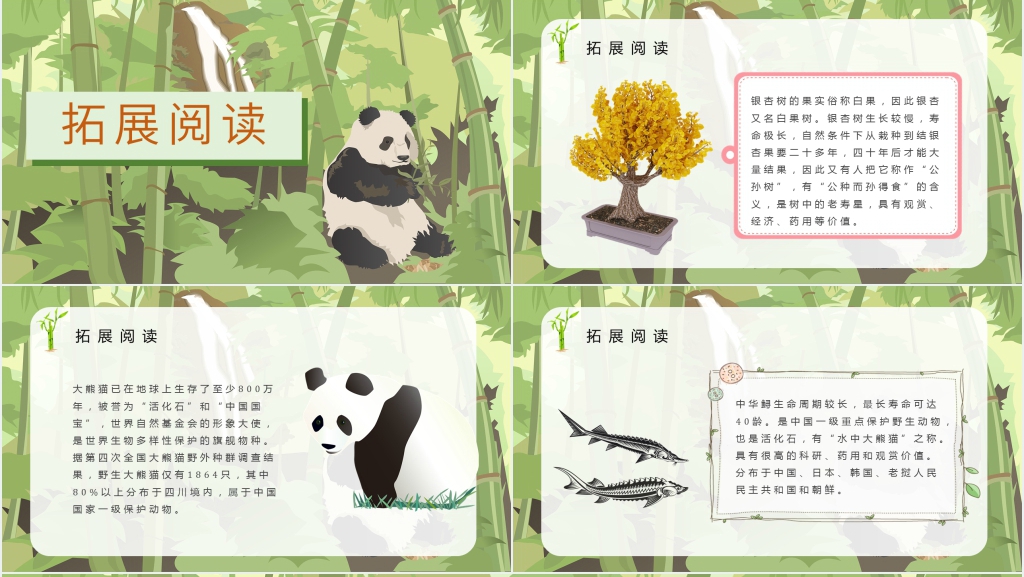 小学语文二年级上册《活化石》PPT课件 小学语文二年级上册《活化石》PPT课件
