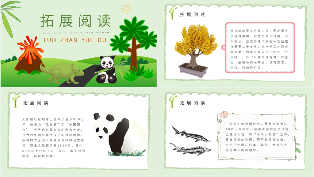 小学语文二年级上册《活化石》教学PPT课件 小学语文二年级上册《活化石》教学PPT课件