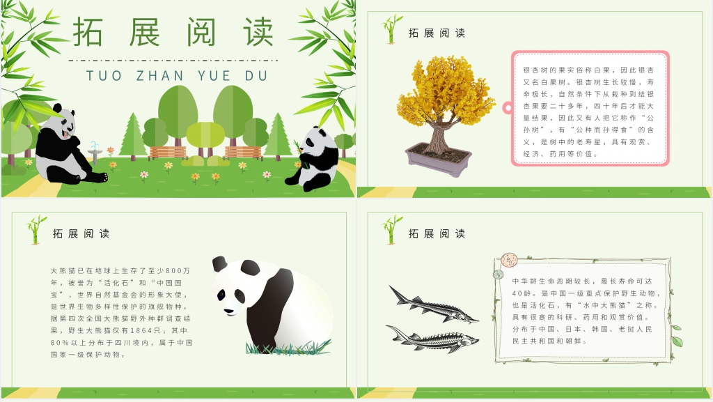小学语文二年级上册《活化石》课文PPT课件 小学语文二年级上册《活化石》课文PPT课件