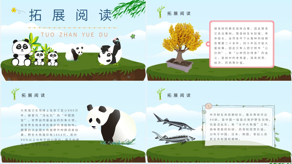 卡通风小学语文二年级上册《活化石》PPT课件 卡通风小学语文二年级上册《活化石》PPT课件