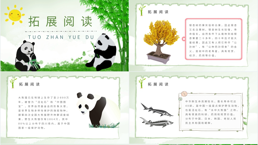 小学语文二年级上册《活化石》教学教案PPT课件 小学语文二年级上册《活化石》教学教案PPT课件