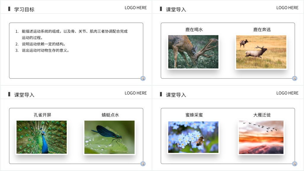 八上生物动物的运动PPT 八上生物动物的运动PPT