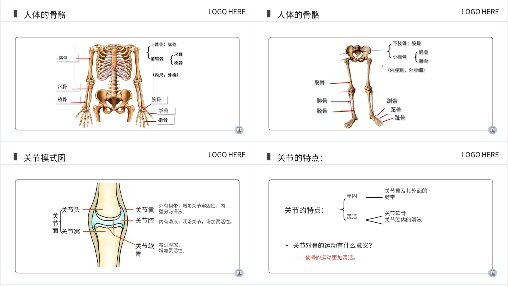 八上生物动物的运动PPT 八上生物动物的运动PPT