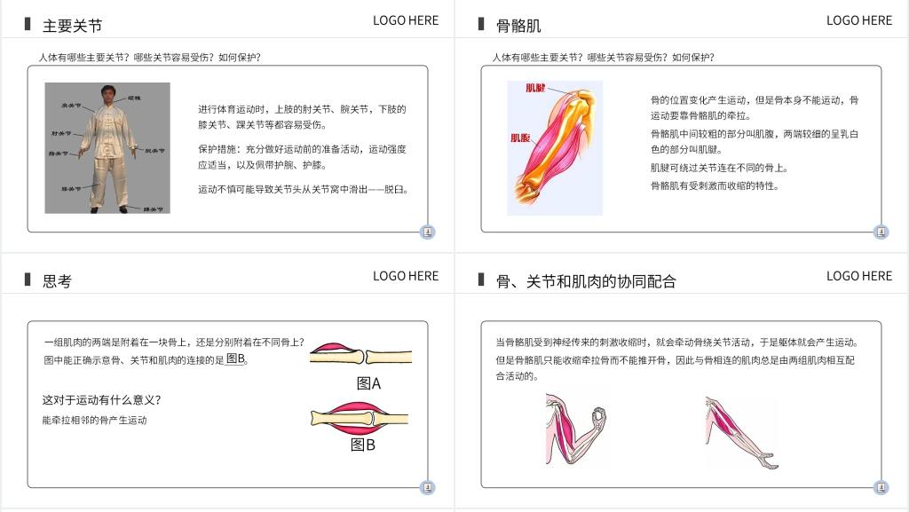 八上生物动物的运动PPT 八上生物动物的运动PPT