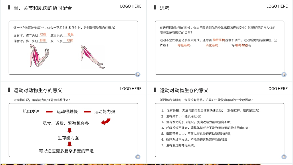 八上生物动物的运动PPT 八上生物动物的运动PPT