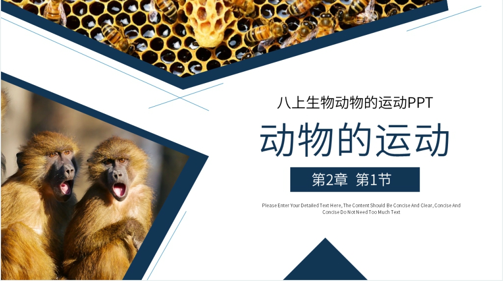 八上生物动物的运动PPT 八上生物动物的运动PPT