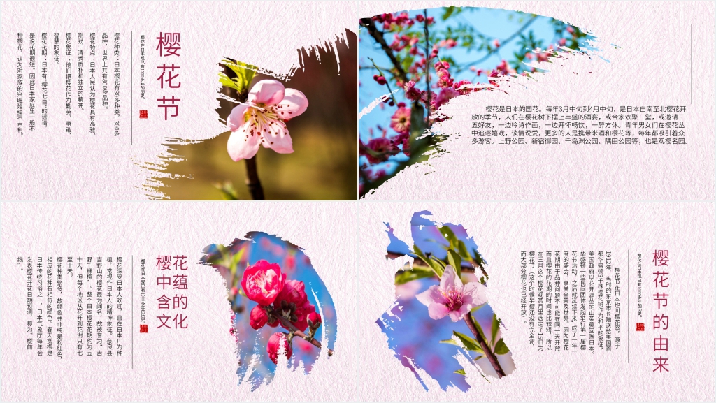 日本樱花节介绍PPT模板 日本樱花节介绍PPT模板