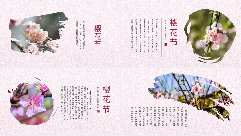 日本樱花节介绍PPT模板 日本樱花节介绍PPT模板