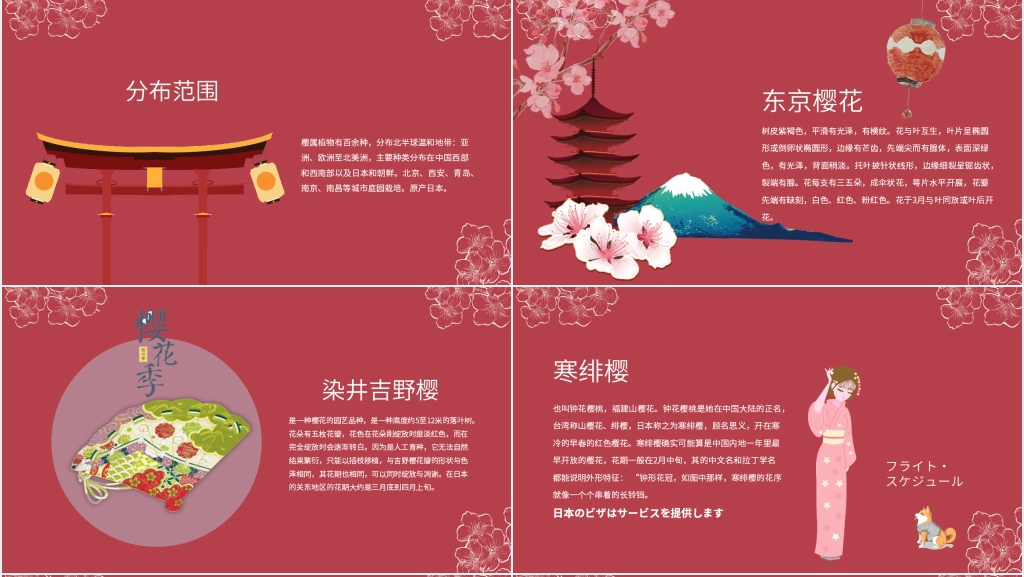 日本庆祝樱花节PPT模板 日本庆祝樱花节PPT模板