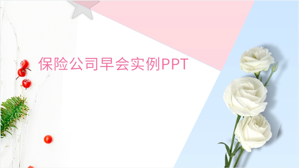 保险公司早会实例PPT模板截图