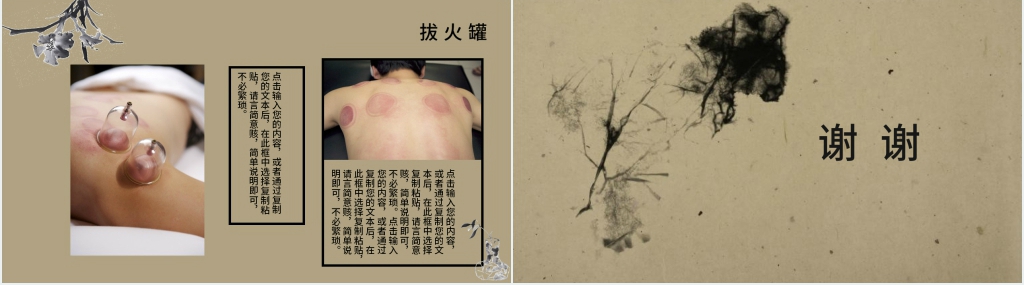 中医文化传承PPT 中医文化传承PPT