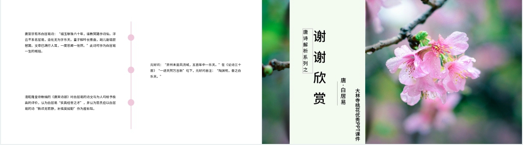 《大林寺桃花》优秀PPT课件 《大林寺桃花》优秀PPT课件