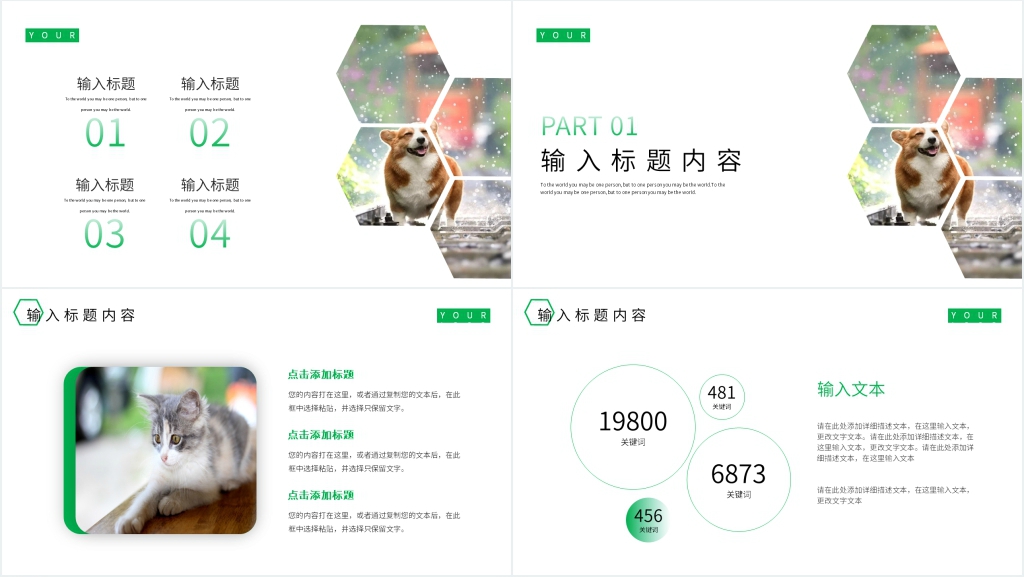宠物创新项目PPT 宠物创新项目PPT