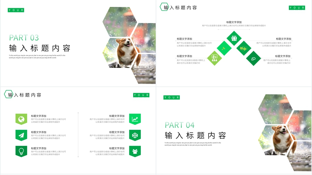 宠物创新项目PPT 宠物创新项目PPT
