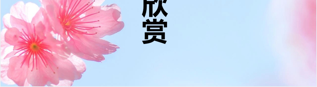 日本樱花节活动主题PPT模板 日本樱花节活动主题PPT模板
