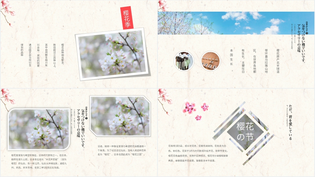 日本樱花季PPT模板 日本樱花季PPT模板