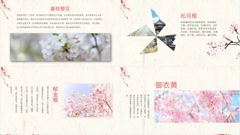 日本樱花季PPT模板 日本樱花季PPT模板