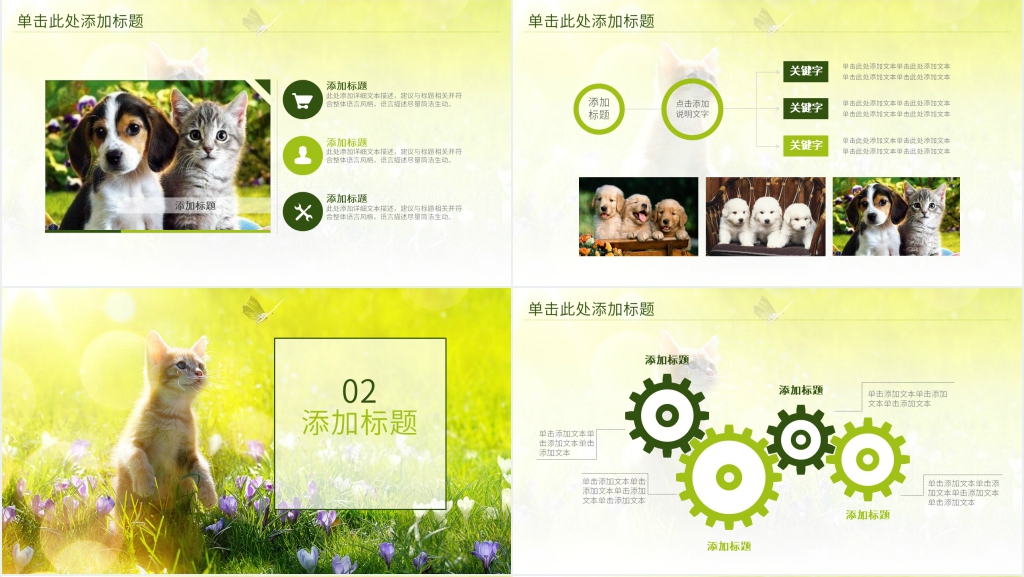宠物店年终总结PPT 宠物店年终总结PPT
