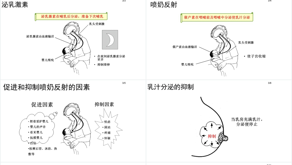 医院儿科母乳喂养科普知识PPT模板 医院儿科母乳喂养科普知识PPT模板