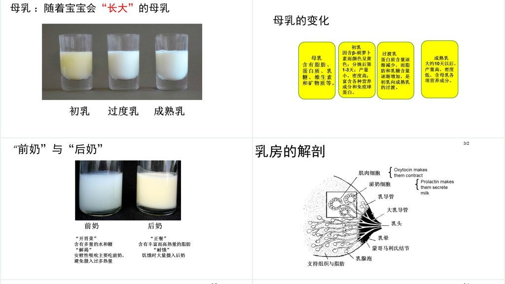 医院儿科母乳喂养科普知识PPT模板 医院儿科母乳喂养科普知识PPT模板