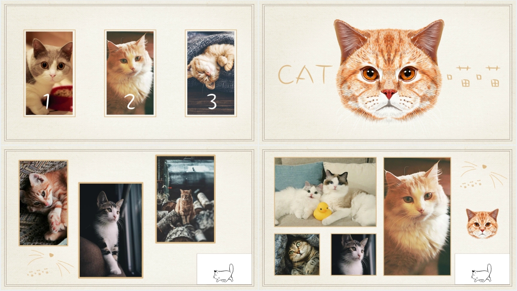 猫电子相册PPT 猫电子相册PPT
