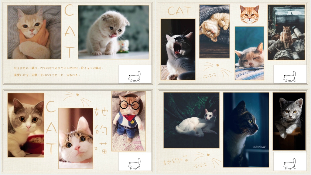 猫电子相册PPT 猫电子相册PPT