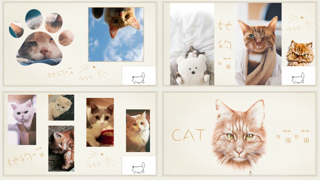 猫电子相册PPT 猫电子相册PPT
