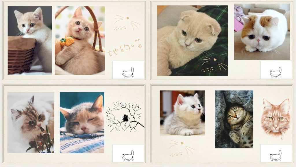 猫电子相册PPT 猫电子相册PPT