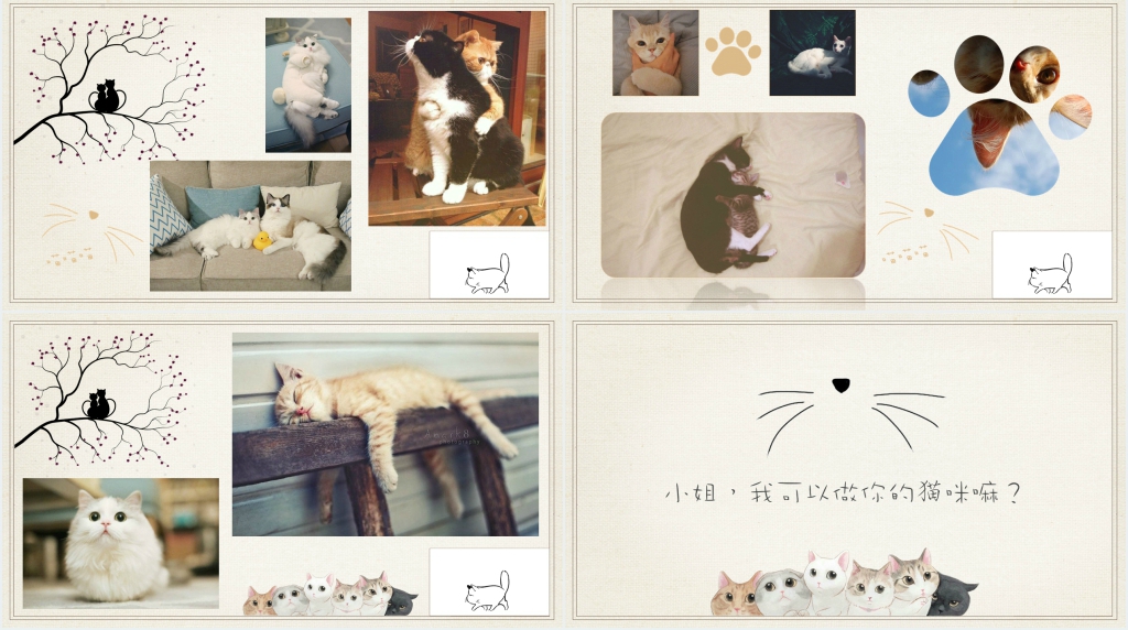 猫电子相册PPT 猫电子相册PPT
