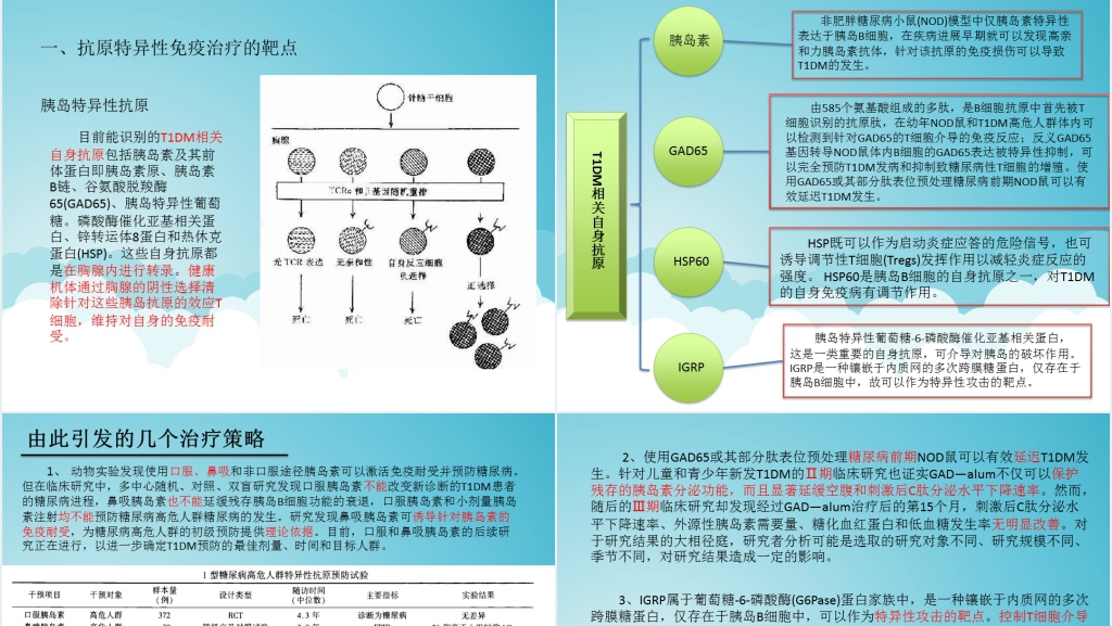 自身免疫性糖尿病的治疗PPT模板 自身免疫性糖尿病的治疗PPT模板