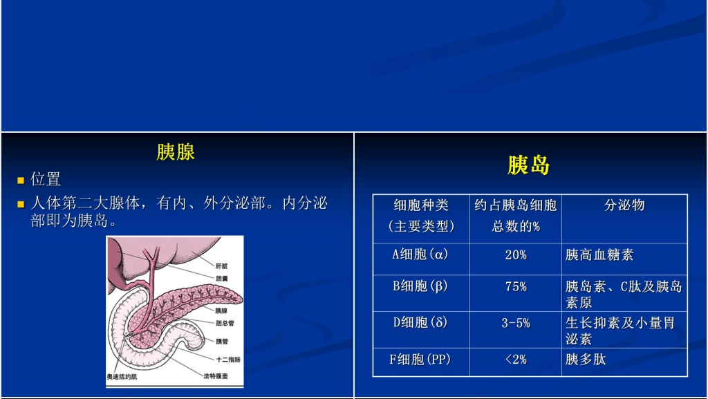 胰岛素的分类和合理应用PPT范文 胰岛素的分类和合理应用PPT范文