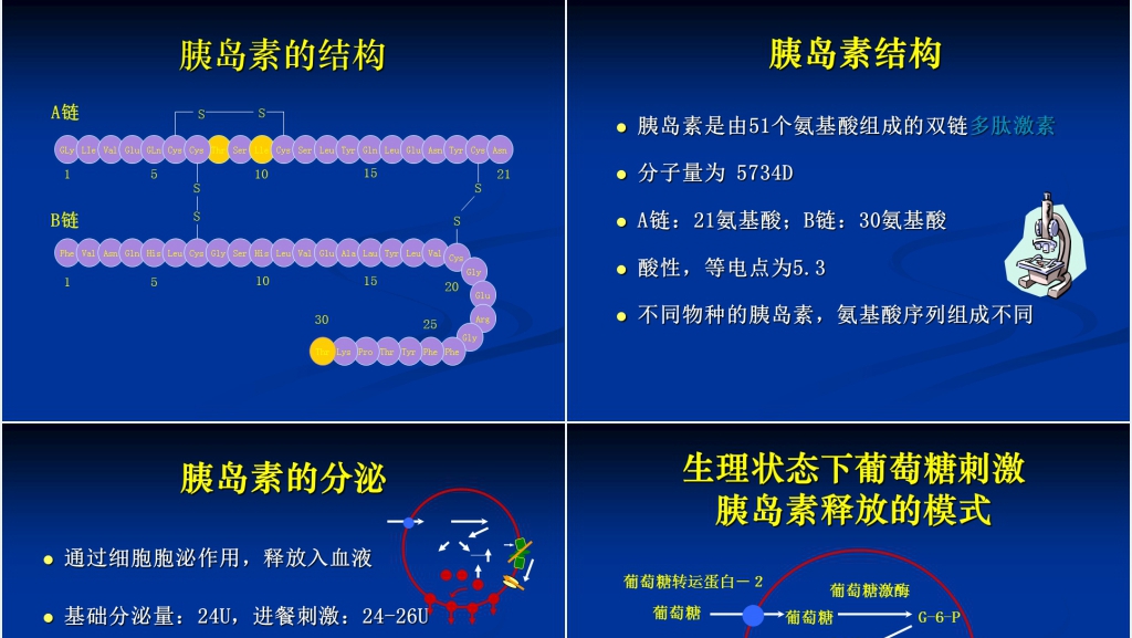 胰岛素的分类和合理应用PPT范文 胰岛素的分类和合理应用PPT范文
