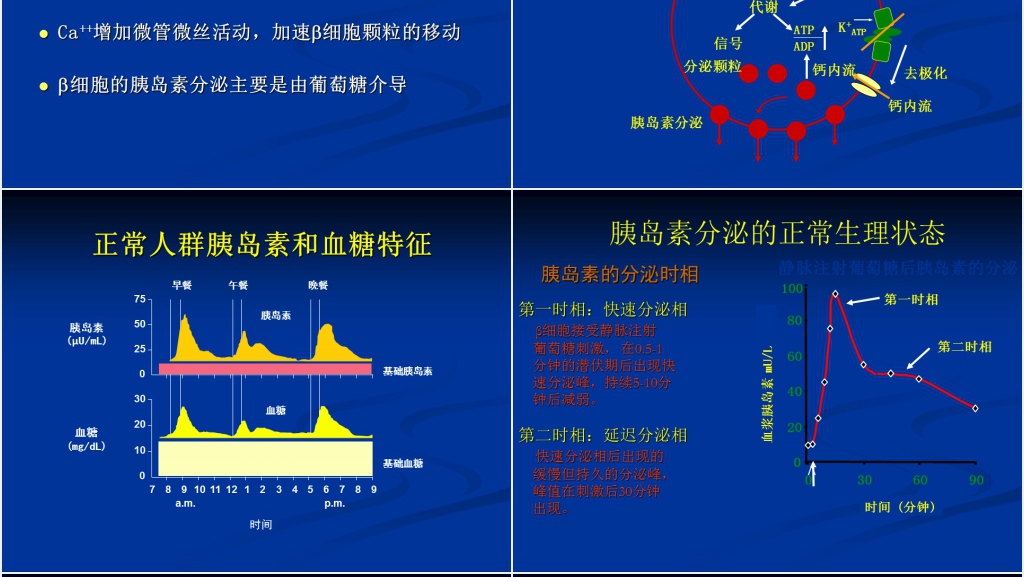 胰岛素的分类和合理应用PPT范文 胰岛素的分类和合理应用PPT范文