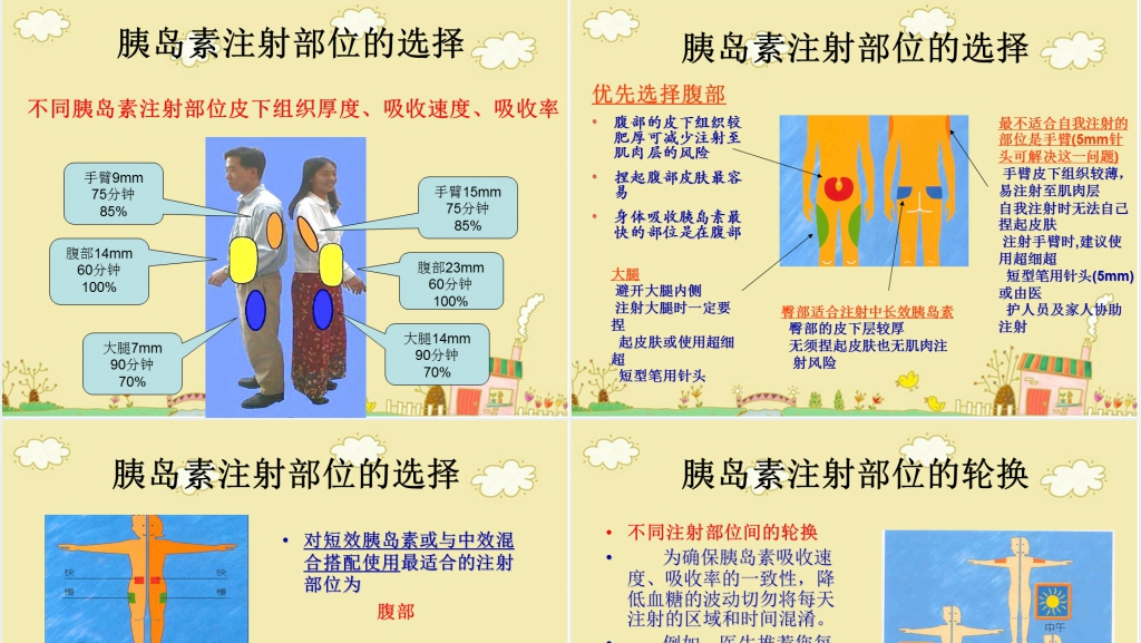 胰岛素的应用和护理PPT范文 胰岛素的应用和护理PPT范文