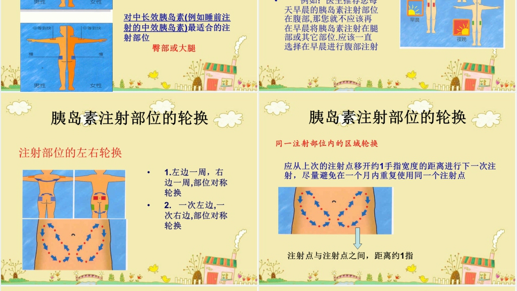 胰岛素的应用和护理PPT范文 胰岛素的应用和护理PPT范文