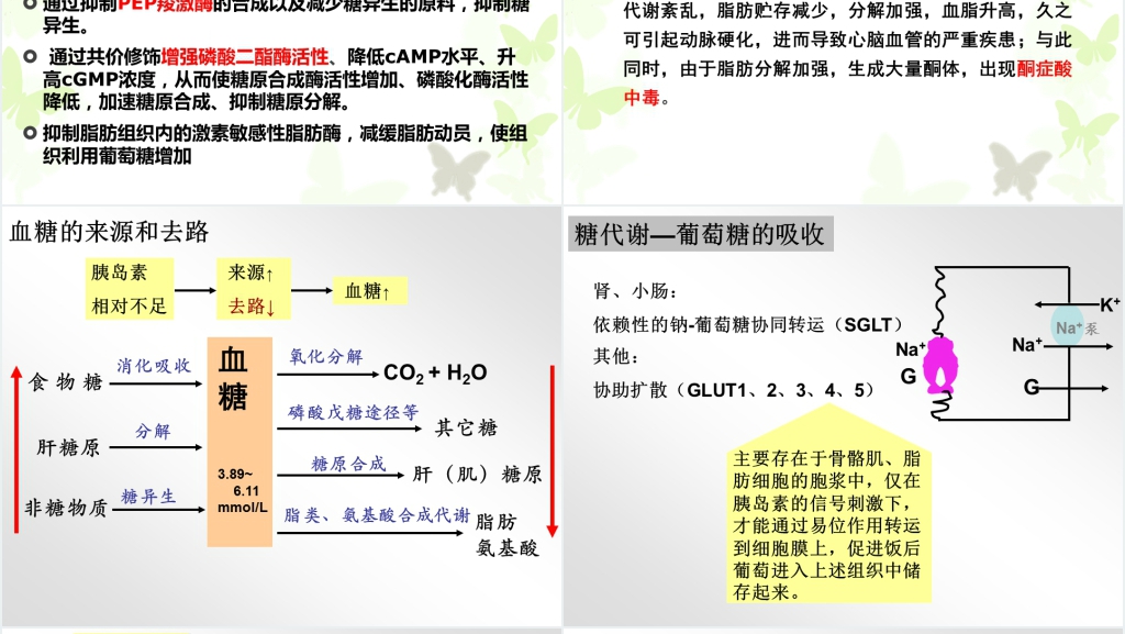 糖尿病的产生及其发生的生化机理PPT模板