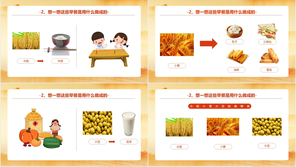 小小一米粒教案PPT课件 小小一米粒教案PPT课件