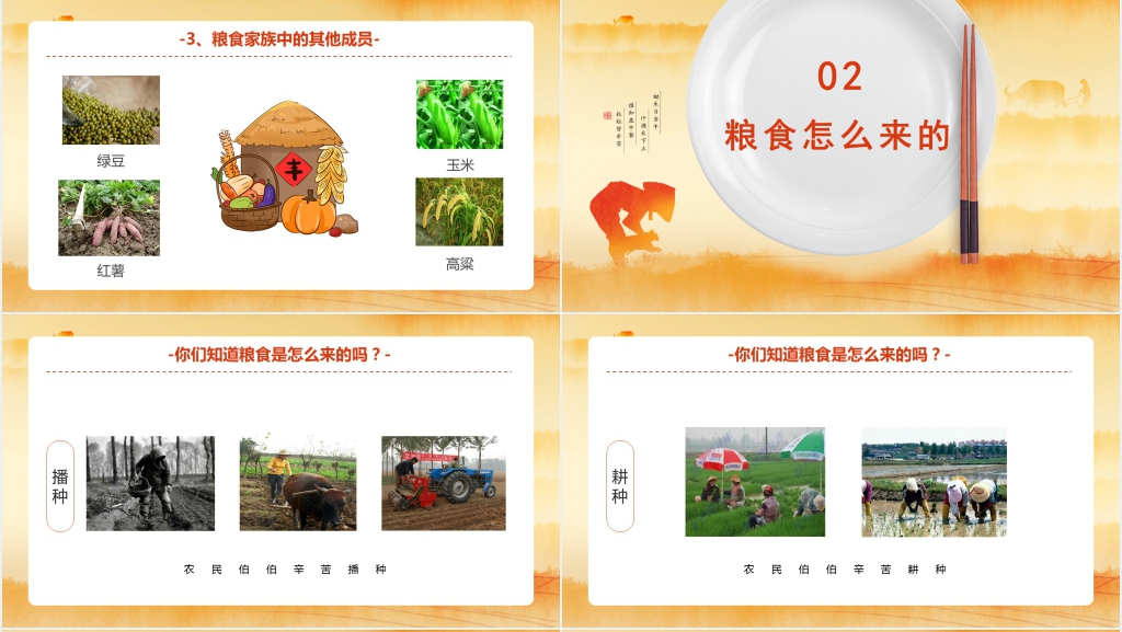 小小一米粒教案PPT课件 小小一米粒教案PPT课件