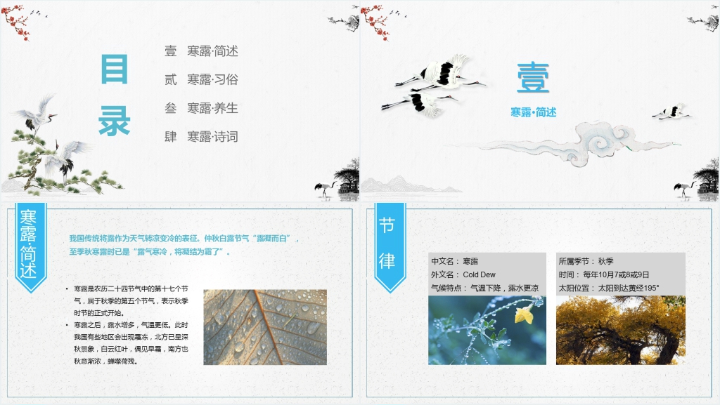 中国风24节气之寒露知识讲解PPT课件 中国风24节气之寒露知识讲解PPT课件