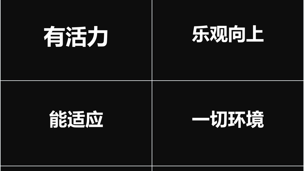 求职自我介绍快闪模板 求职自我介绍快闪模板
