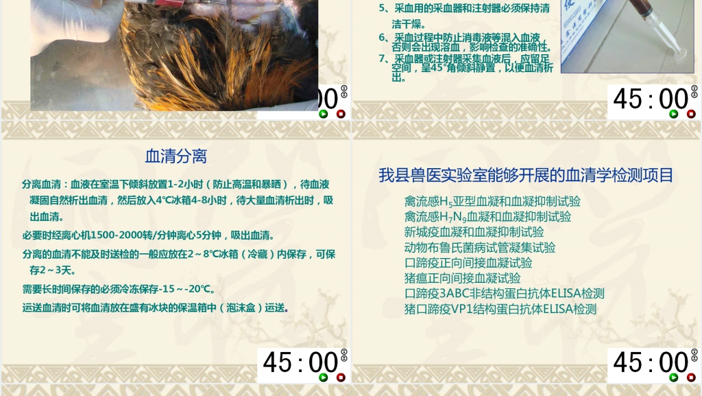 动物疫苗免疫PPT范文 动物疫苗免疫PPT范文
