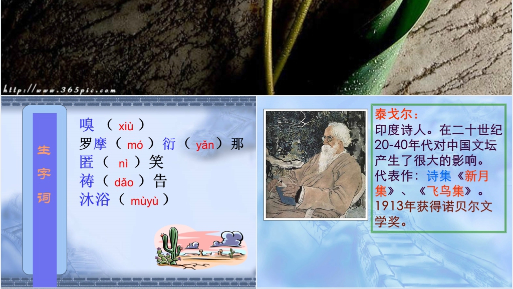 《金色花》泰戈尔教案教学PPT优质课件 《金色花》泰戈尔教案教学PPT优质课件