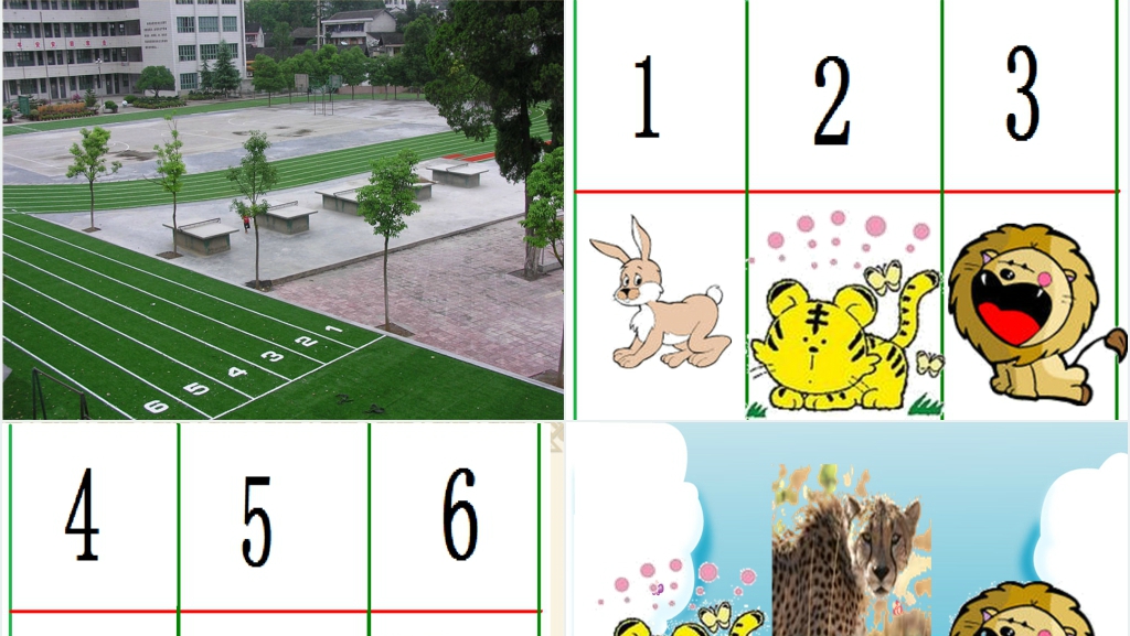 中班数学领域动物运动会PPT课件 中班数学领域动物运动会PPT课件