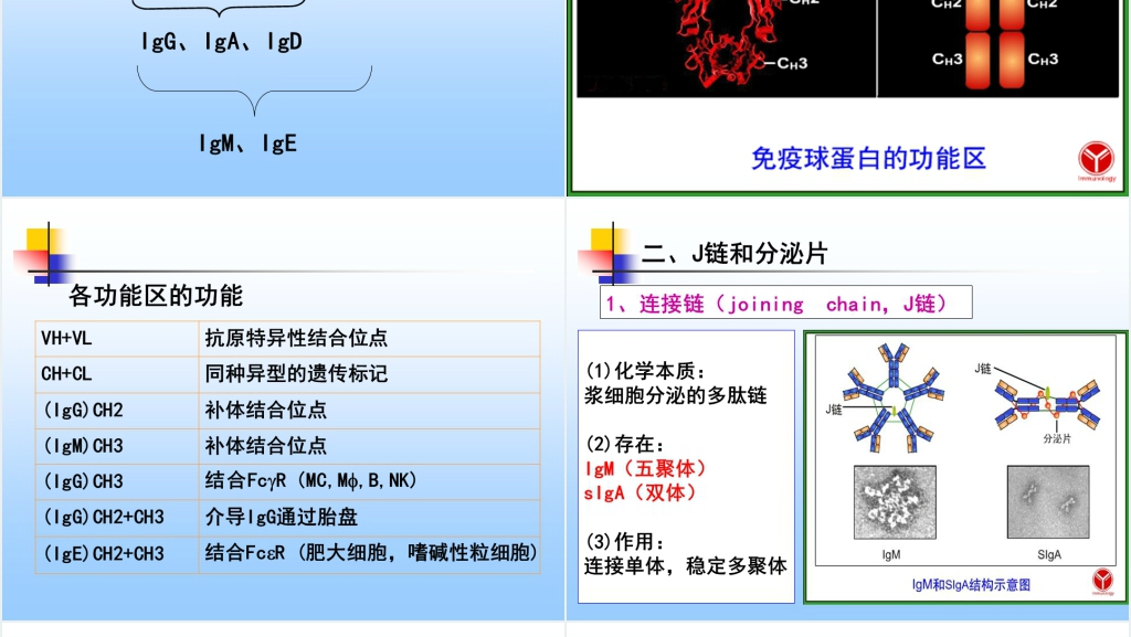免疫学免疫球蛋白与抗体PPT课件 免疫学免疫球蛋白与抗体PPT课件