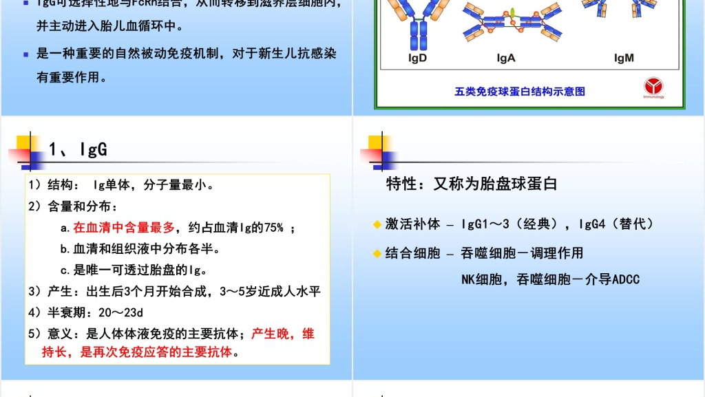 免疫学免疫球蛋白与抗体PPT课件 免疫学免疫球蛋白与抗体PPT课件